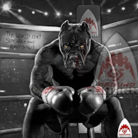 Где можно купить хром накладки на фары? — Сообщество «Nissan Cefiro и ...