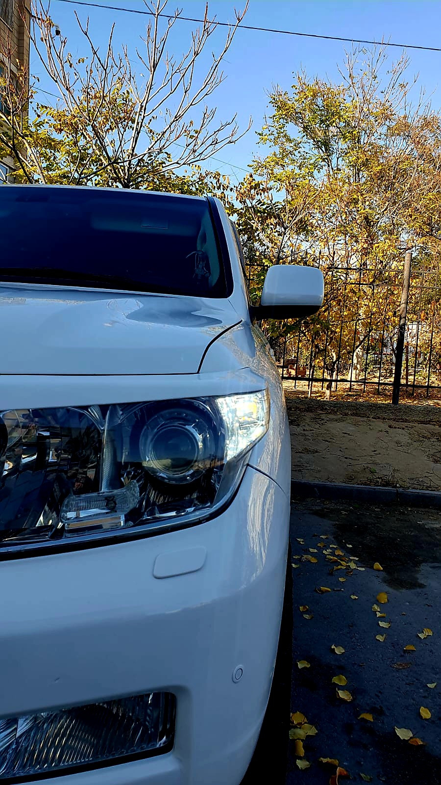 Фото в бортжурнале Toyota Land Cruiser 200