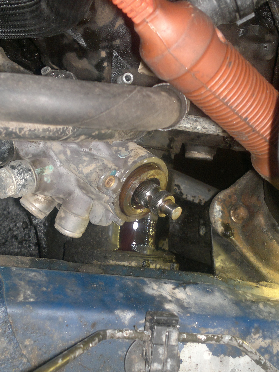 Фото в бортжурнале BMW X5 (E53)