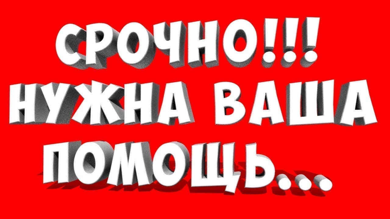 Мне нужна помощь кажется я влип растерянно. Срочно нужна ваша помощь. Нужна помощь. Нужна ваша помощь. Очень нужна ваша помощь.