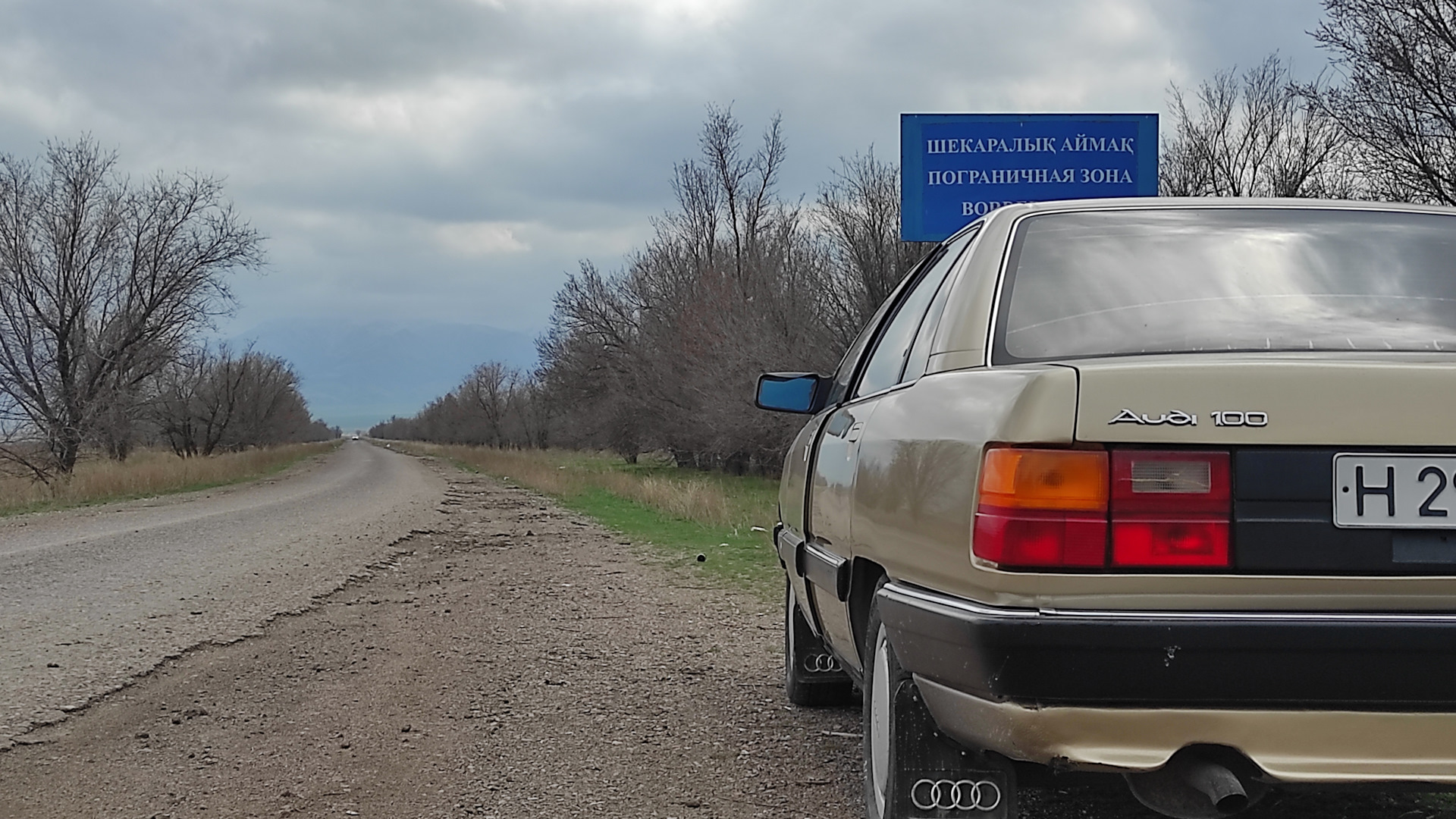 Audi 100 (C3) 2.3 бензиновый 1990 | Золотая селёдка на DRIVE2