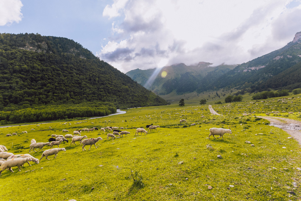 Река маруха карачаево черкессия что означает название. wmxI1Hyevd6HGj2IV2Q4fwM4Qd8 960. Река маруха карачаево черкессия что означает название фото. Река маруха карачаево черкессия что означает название-wmxI1Hyevd6HGj2IV2Q4fwM4Qd8 960. картинка Река маруха карачаево черкессия что означает название. картинка wmxI1Hyevd6HGj2IV2Q4fwM4Qd8 960. Река Маруха протекает по территории туристического района Архыза в Карачаево-Черкесской республике. Река маруха карачаево черкессия что означает название. wmxI1Hyevd6HGj2IV2Q4fwM4Qd8 960. Река маруха карачаево черкессия что означает название фото. Река маруха карачаево черкессия что означает название-wmxI1Hyevd6HGj2IV2Q4fwM4Qd8 960. картинка Река маруха карачаево черкессия что означает название. картинка wmxI1Hyevd6HGj2IV2Q4fwM4Qd8 960. Река Маруха протекает по территории туристического района Архыза в Карачаево-Черкесской республике.