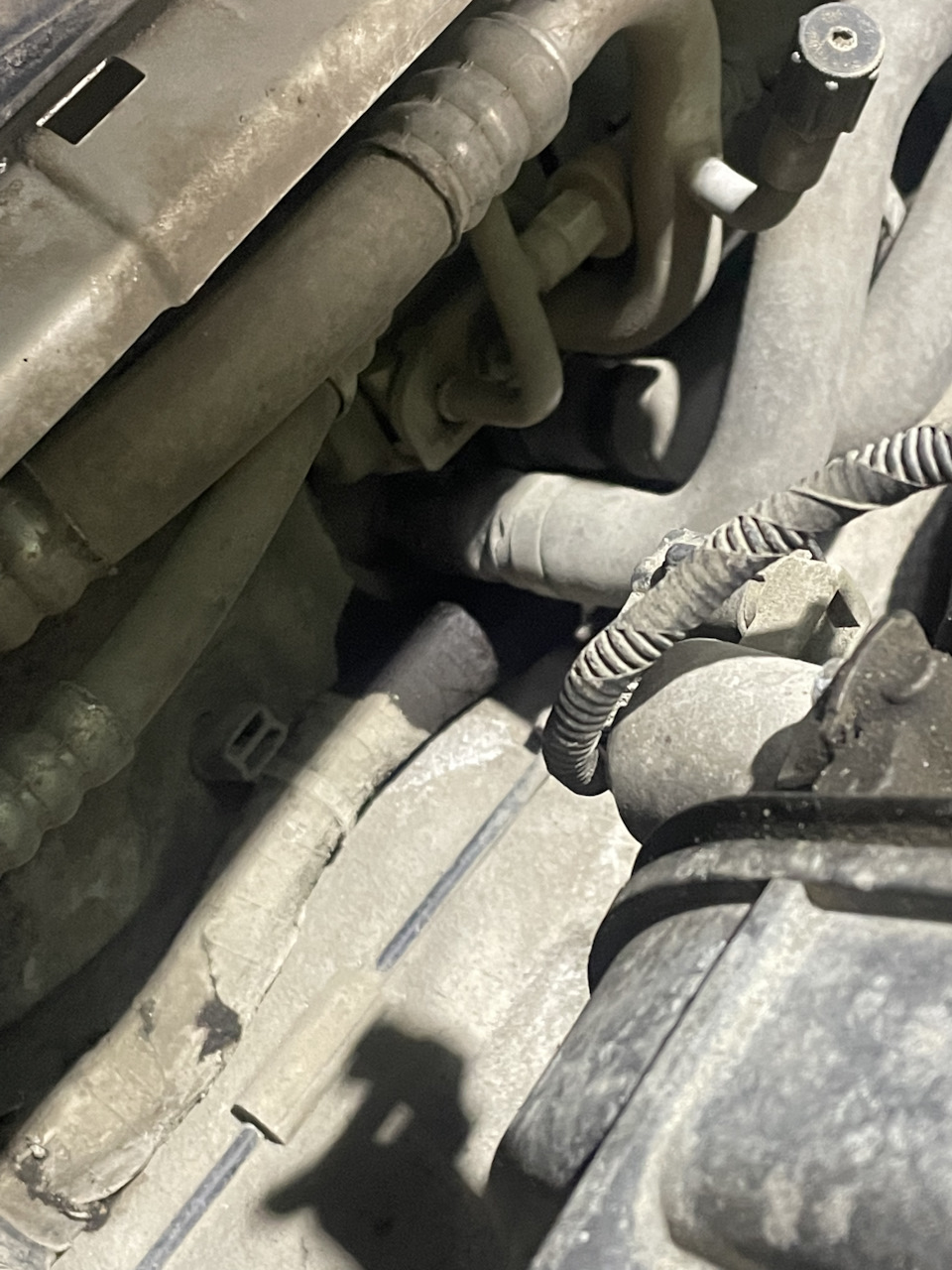 течет масляный фильтр форд фокус 2. форд фокус 3 текет масло. течь масла форд фокус 3. 6 течь масла с муфты. течь масла форд фокус 3.