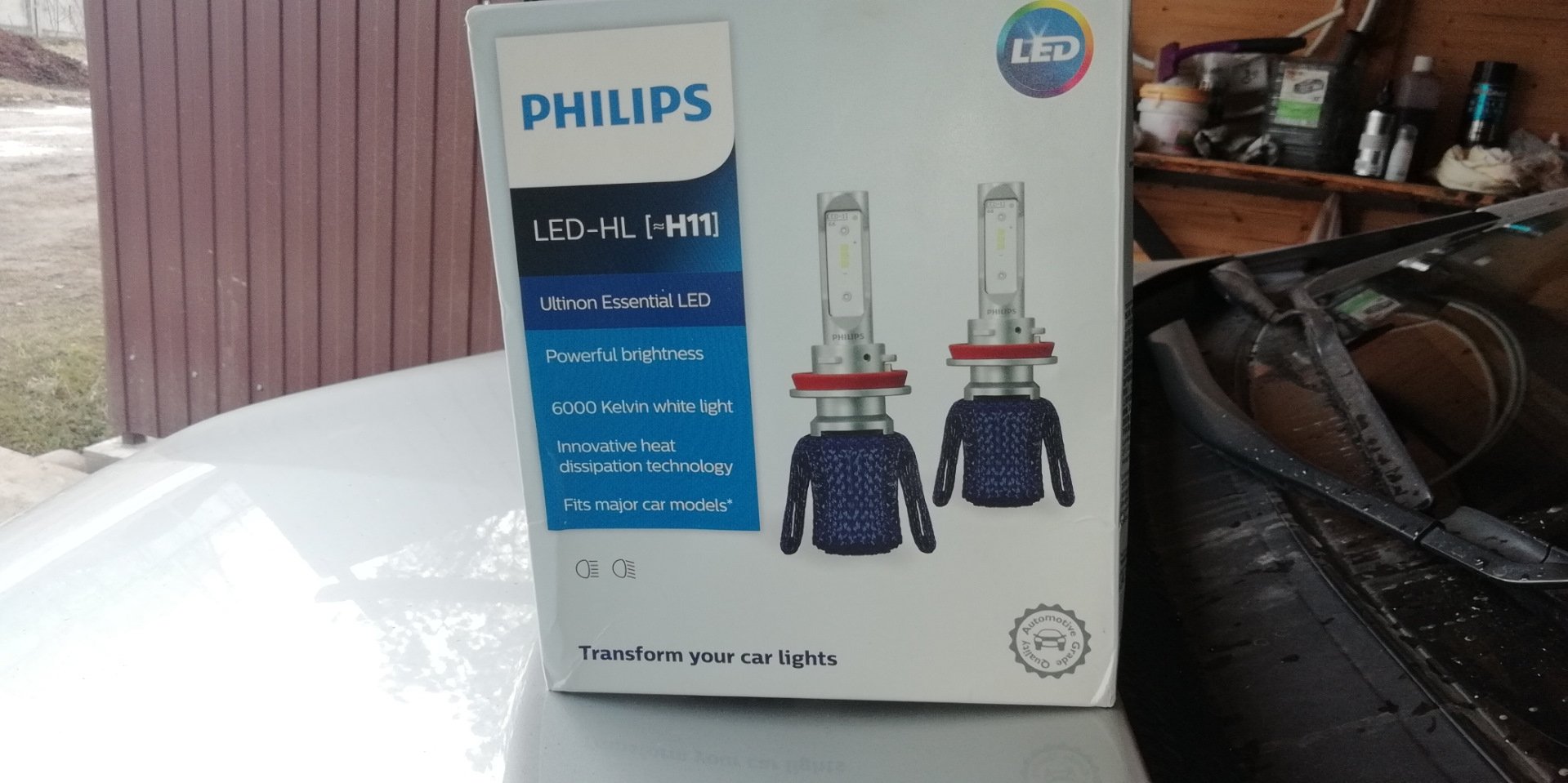Филипс 11. Philips Ultinon pro9000. Philips Ultinon Essential led h11. Лед лампы Филипс h11. Philips Ultinon Essential g2 h11.