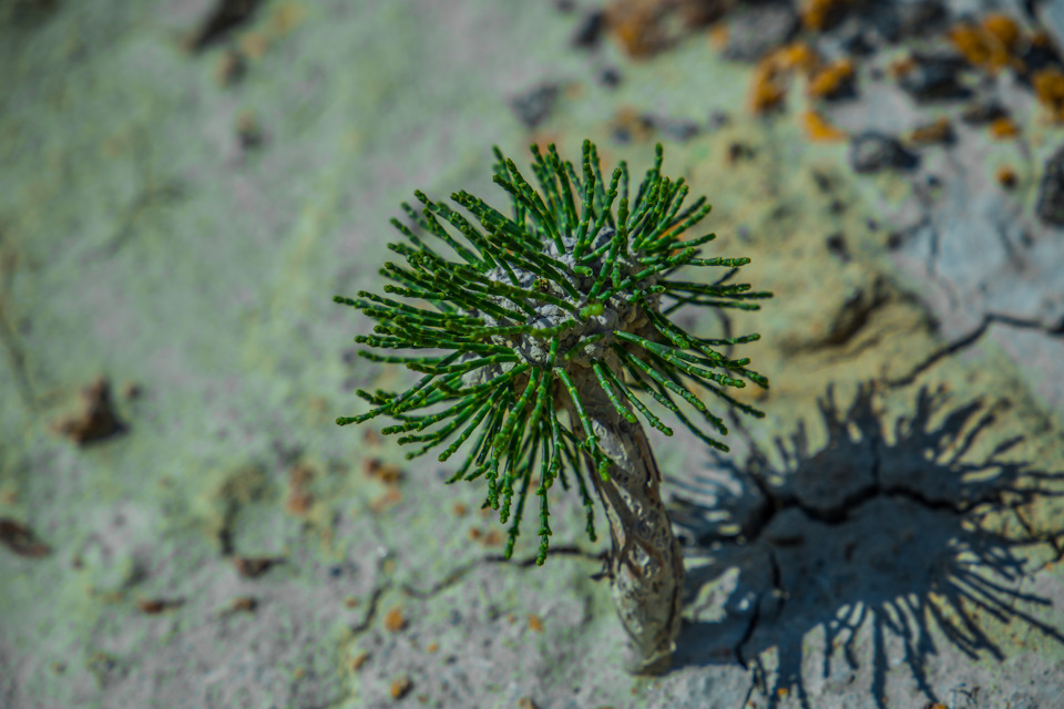 город духов игра город духов игра