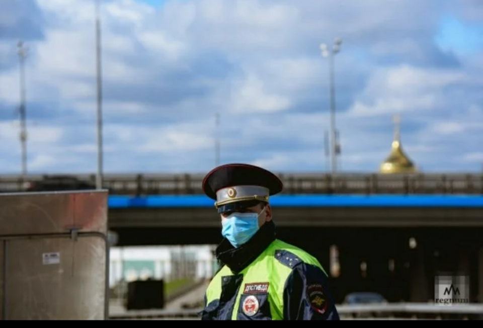 В россии ужесточили наказание за шторки и каркасные сетки в автомобилях