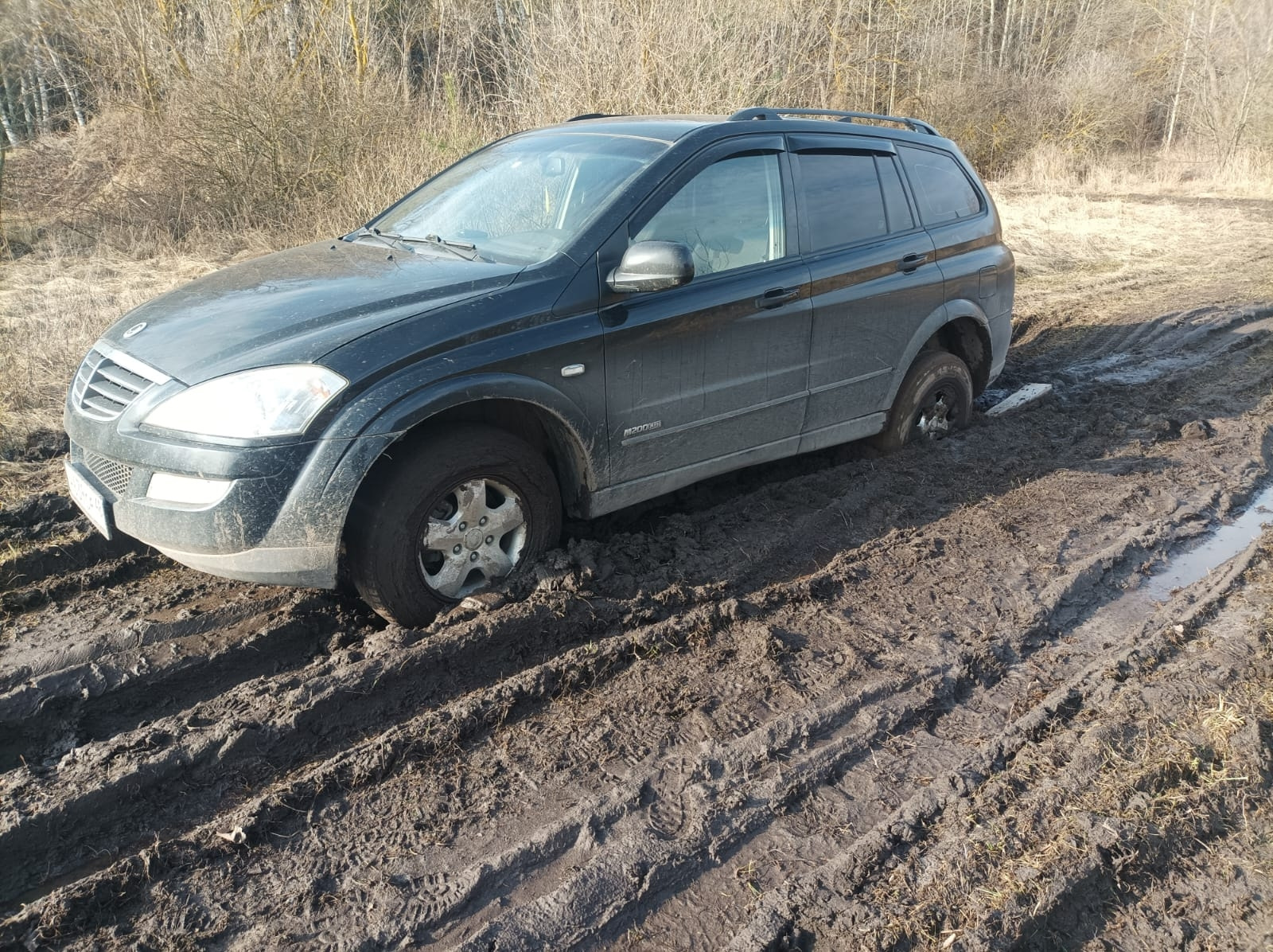 Вес SSANGYONG Kyron. SSANGYONG Kyron Мерседес. P3041 ошибка SSANGYONG Kyron.