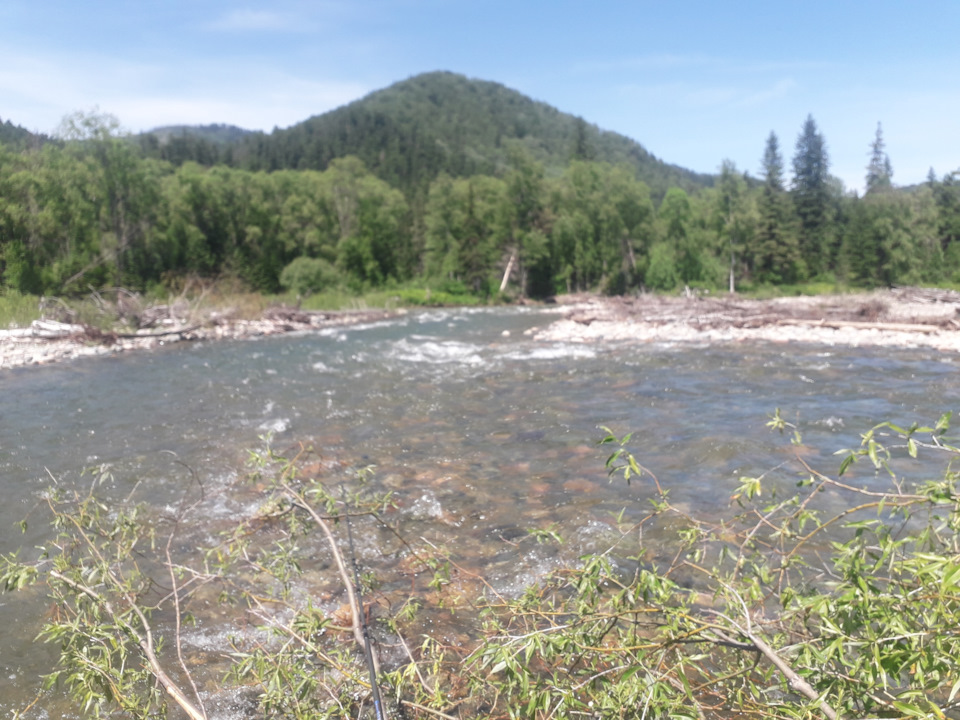 Салонное зеркало с автозатемнением и компасом от Lexus RX — Toyota ...