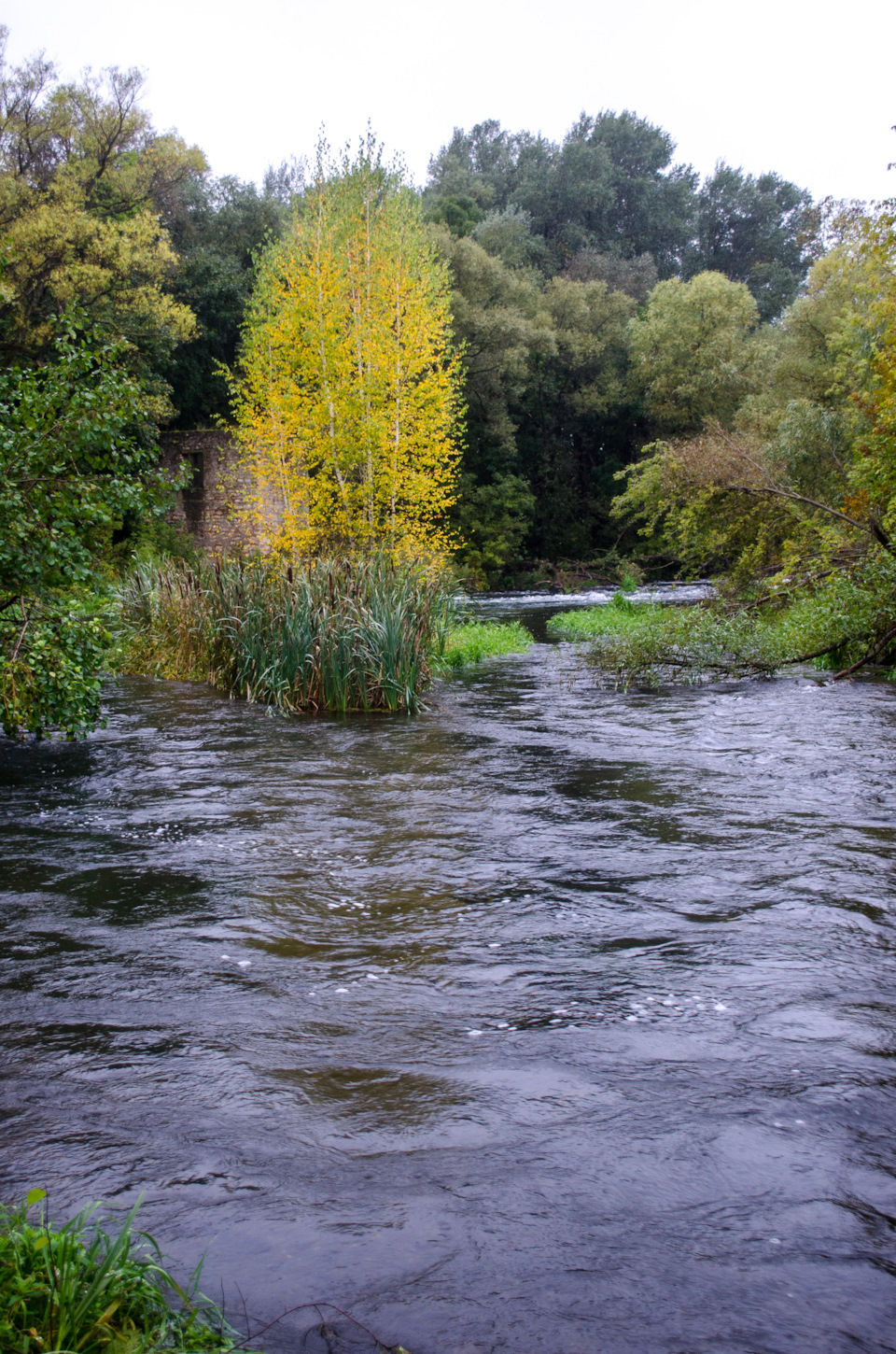 Фото в бортжурнале Renault Sandero Stepway (2G)