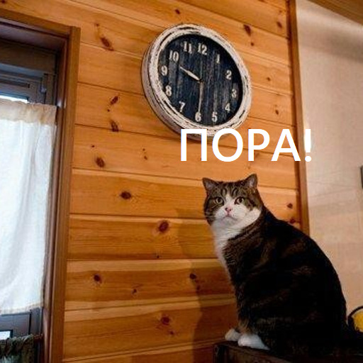 wrPFtkJJJvwti1G7Naq4f3UGgqc-1920.jpg
