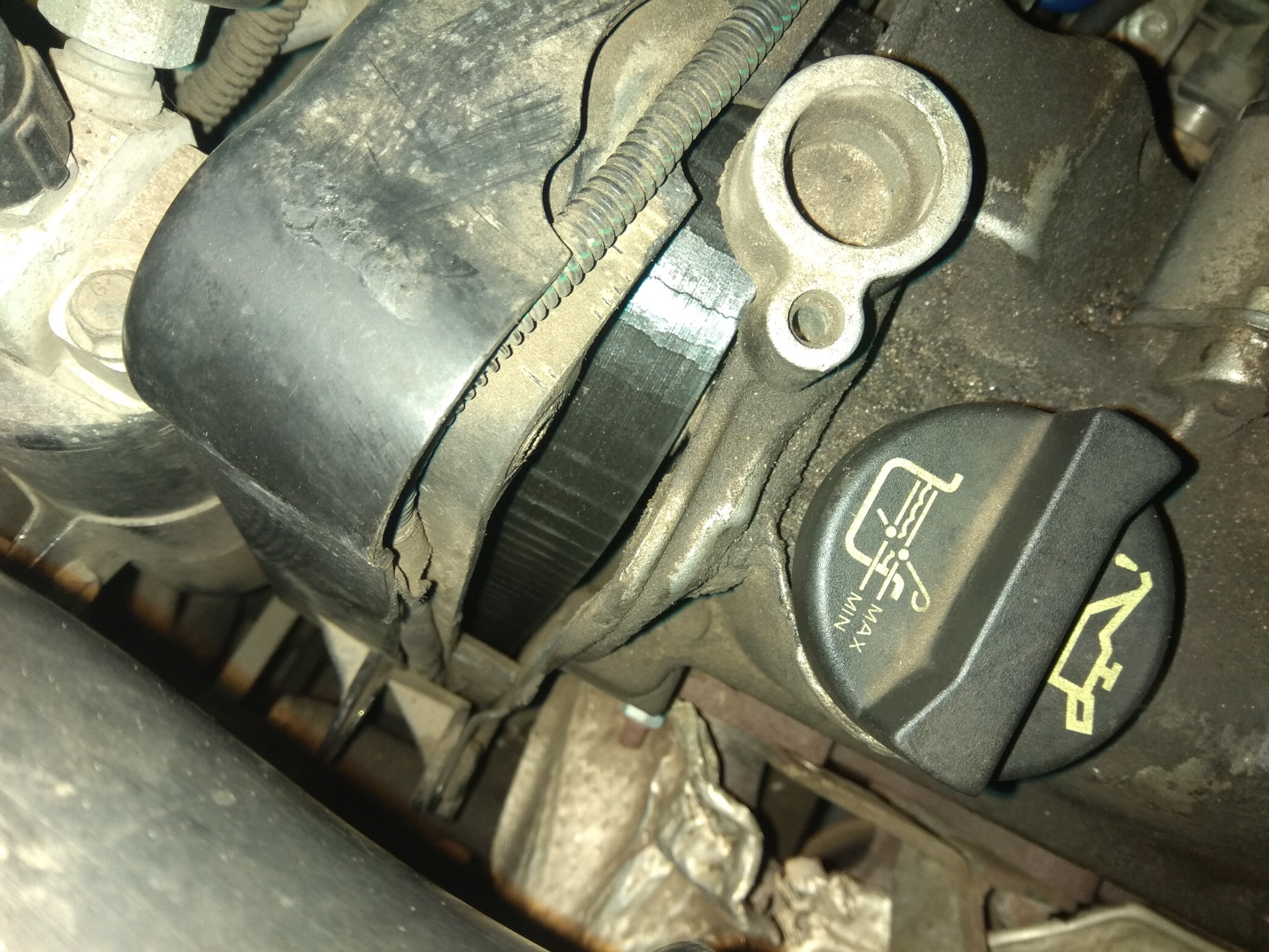 Fiat 1. Ducato 244 загнуло клапана. клапан выпускной фиат альбеа 1. альбеа гнет ли клапана. двигатель 1.