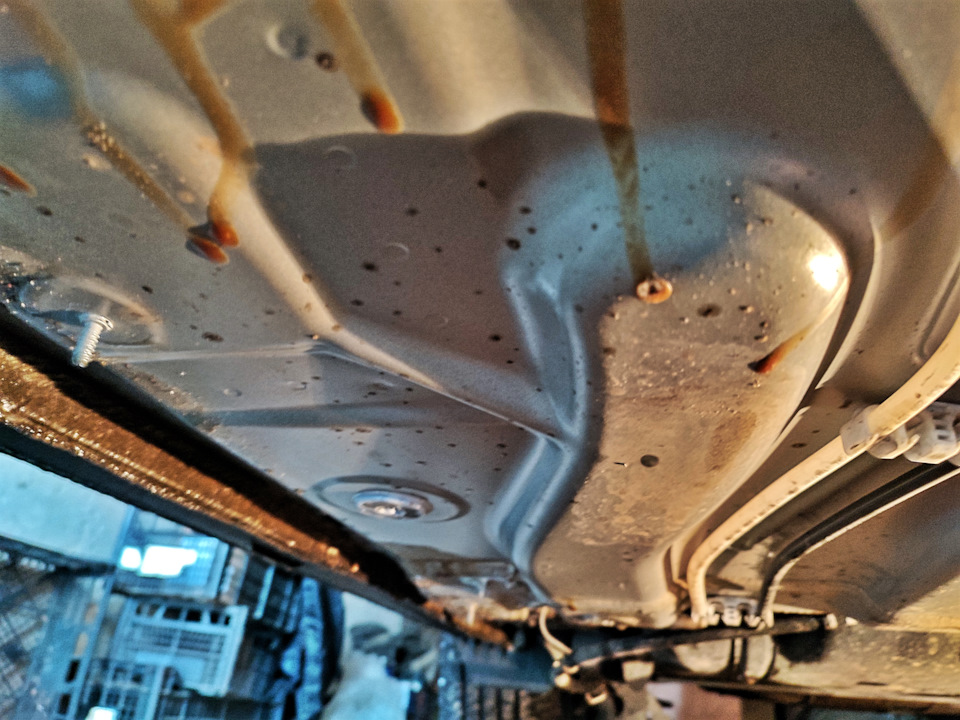 Фото в бортжурнале Volkswagen Polo liftback