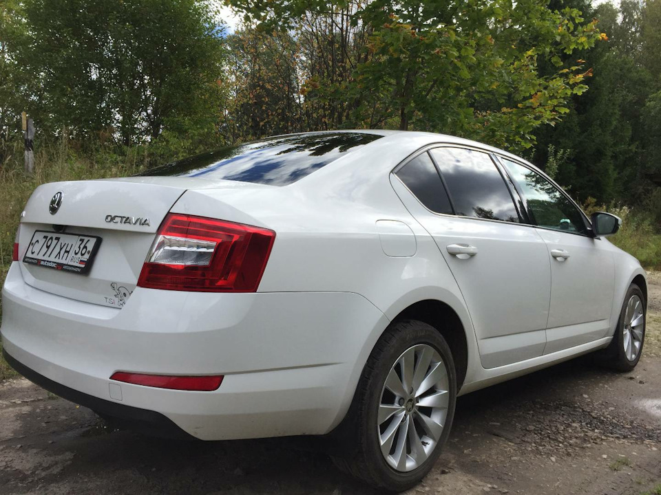 Гудит подшипник ступицы — Skoda Octavia A7 Mk3, 1,2 л, 2013 года ...