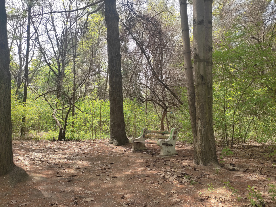 Фото в бортжурнале BMW 3 series (E36)