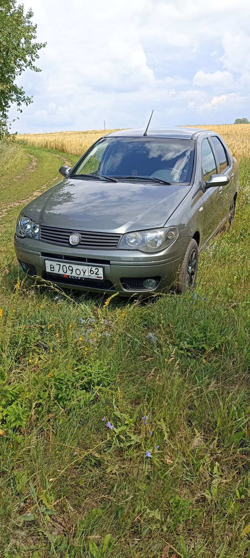 Новая жизнь — FIAT Albea, 1,4 л, 2011 года | кузовной ремонт | DRIVE2