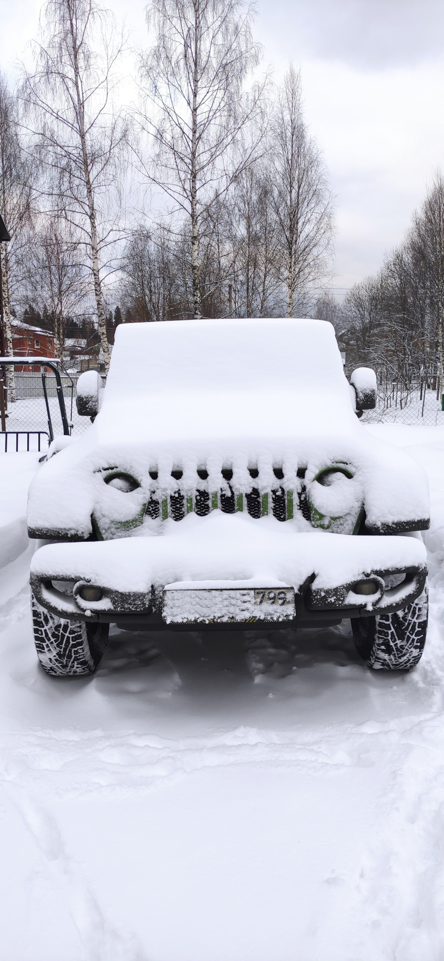 Зелёный в снегу 2.0 — Jeep Wrangler (JL), 2 л, 2018 года фотография