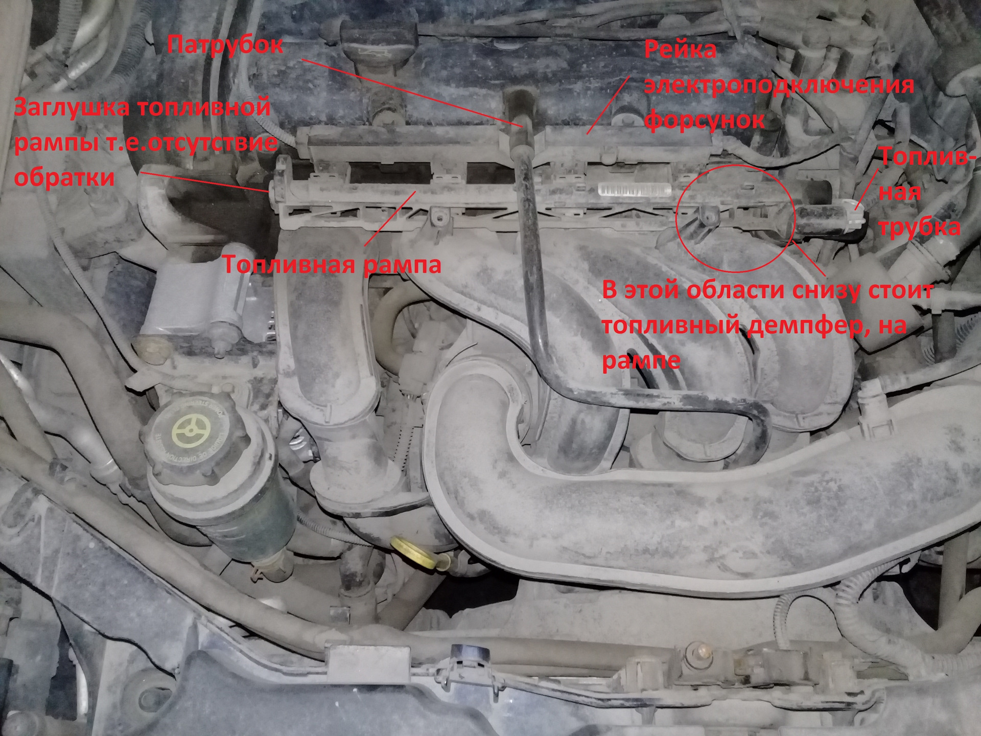 схема топливной системы форд фокус 2
