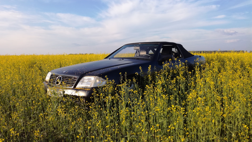 Mercedes-Benz SL-Class