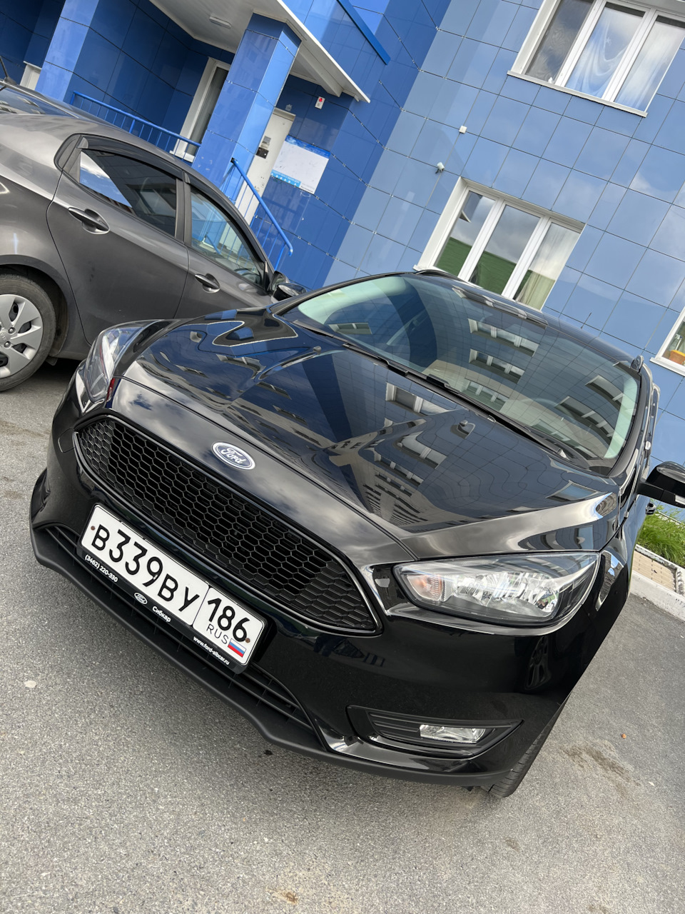 Решетка. То что нужно — Ford Focus III Wagon, 1,5 л, 2019 года | другое |  DRIVE2