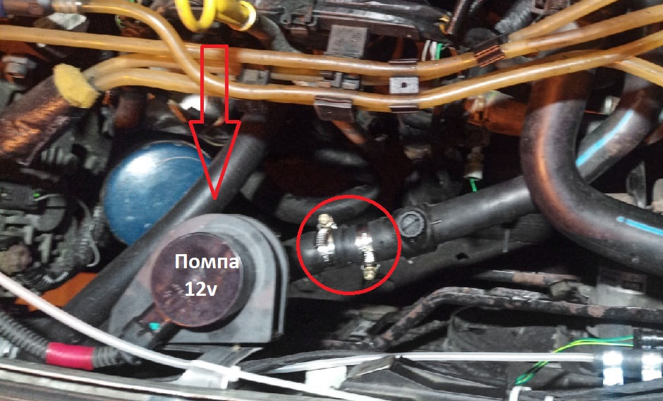 Фото в бортжурнале Renault Clio II