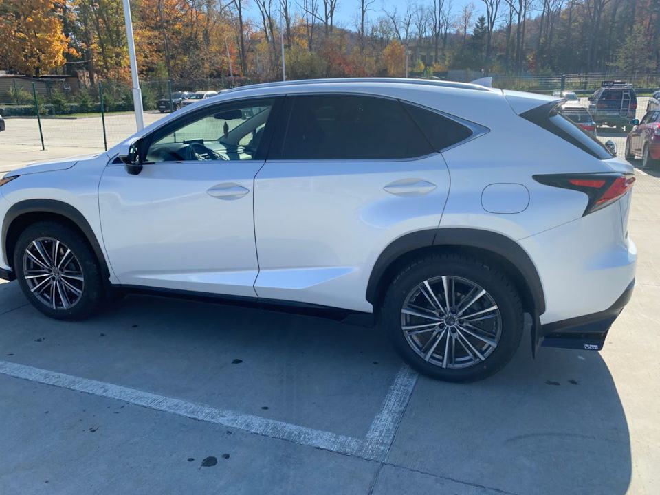 ТО-4. 40 000 км. — Lexus NX (1G), 2 л, 2019 года | плановое ТО | DRIVE2