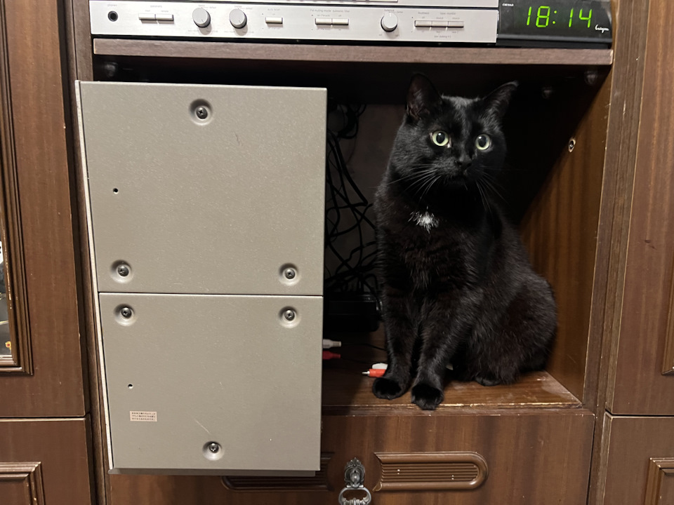 У нас вопрос, что это? — Сообщество «Клуб Почитателей Кассетных ...