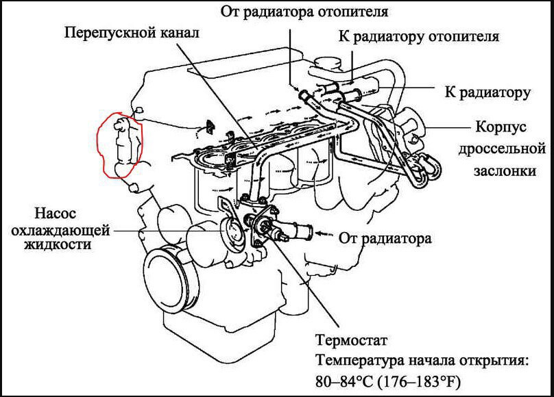 Форма ож