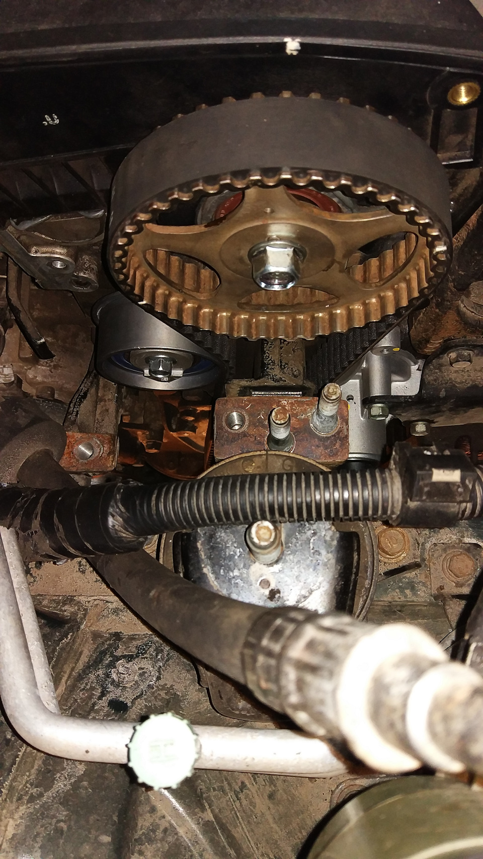 Ремень ГРМ Gates 5457XS на месте — Hyundai Tucson (JM). Запчасти на фото: 5457XS