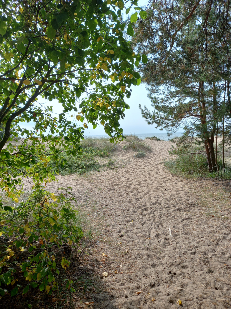 Фото в бортжурнале Renault Sandero 2G