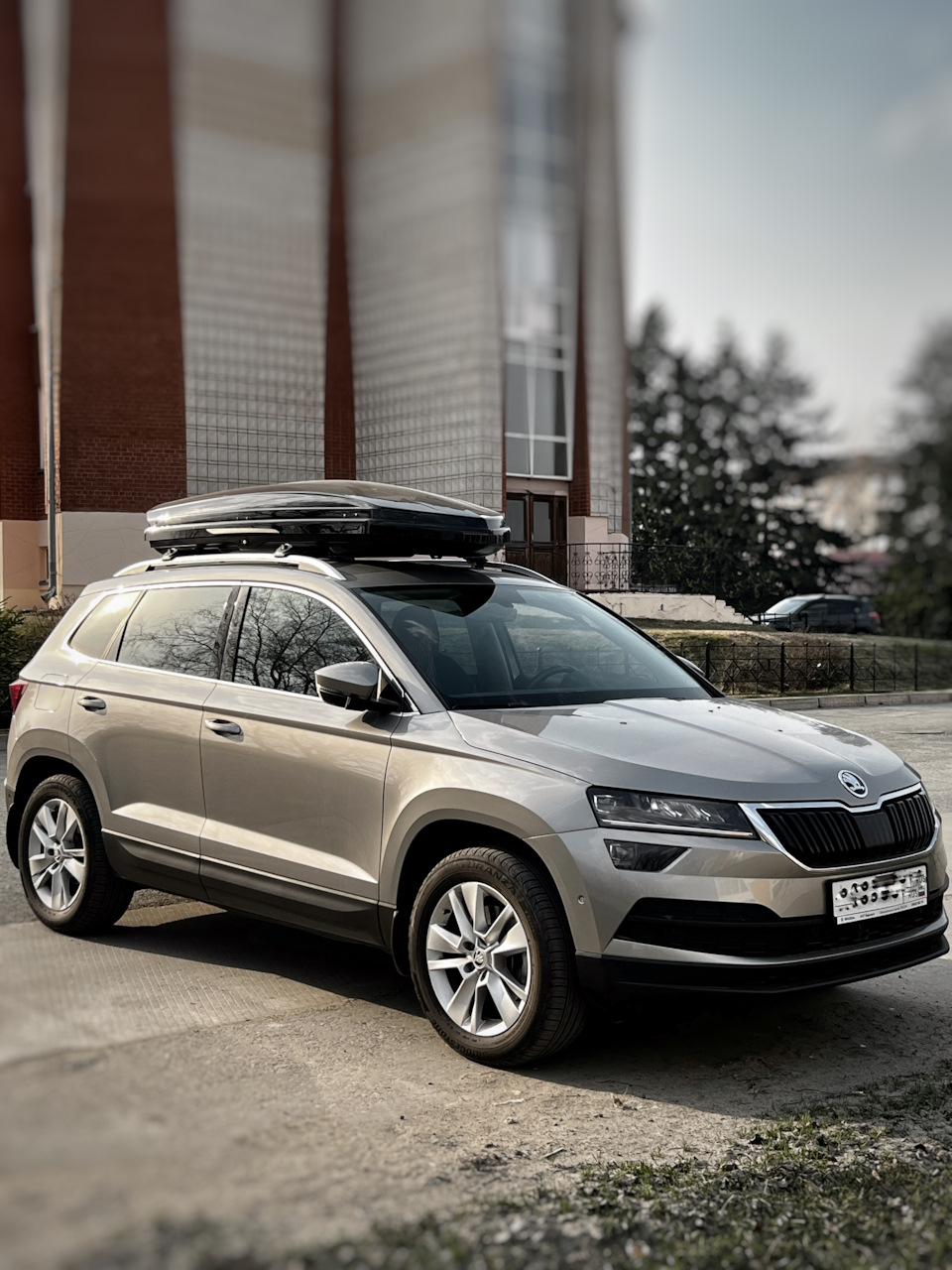 Автобокс Thule Dynamic 800 M — Skoda Karoq, 1,4 л, 2020 года | аксессуары |  DRIVE2