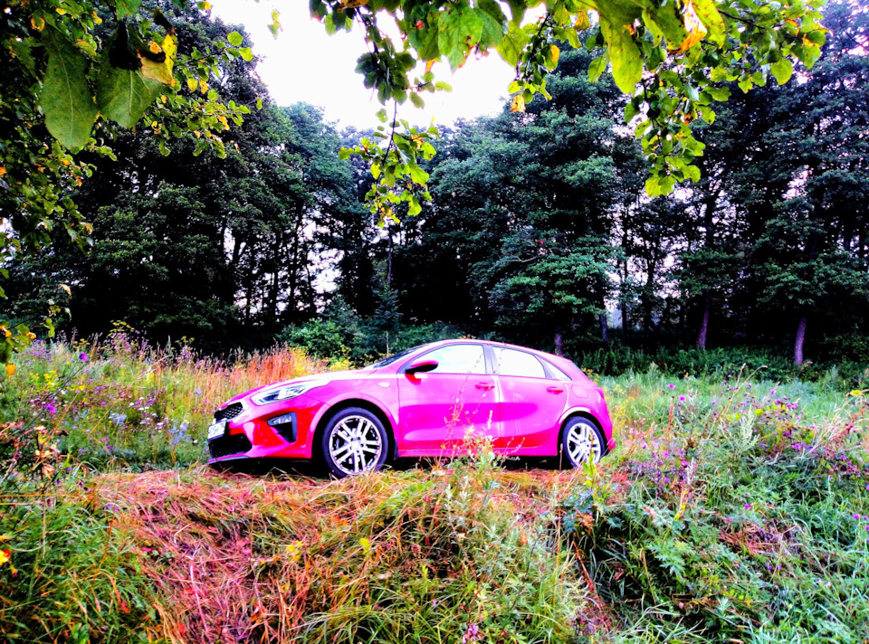 фаворит моторс отказывает в гарантии — KIA Ceed (3G), 1,6 л, 2018 года ...