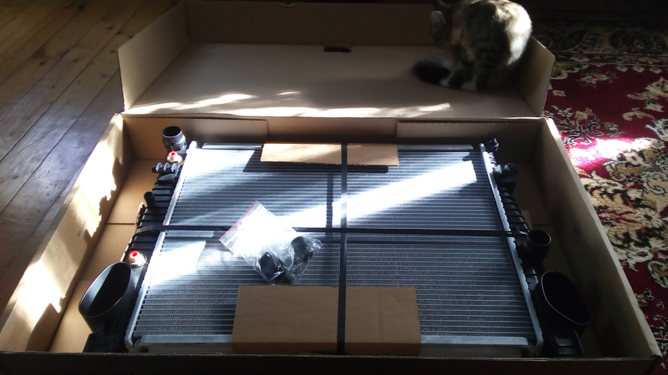 Фото в бортжурнале Mercedes-Benz S-class (W220)