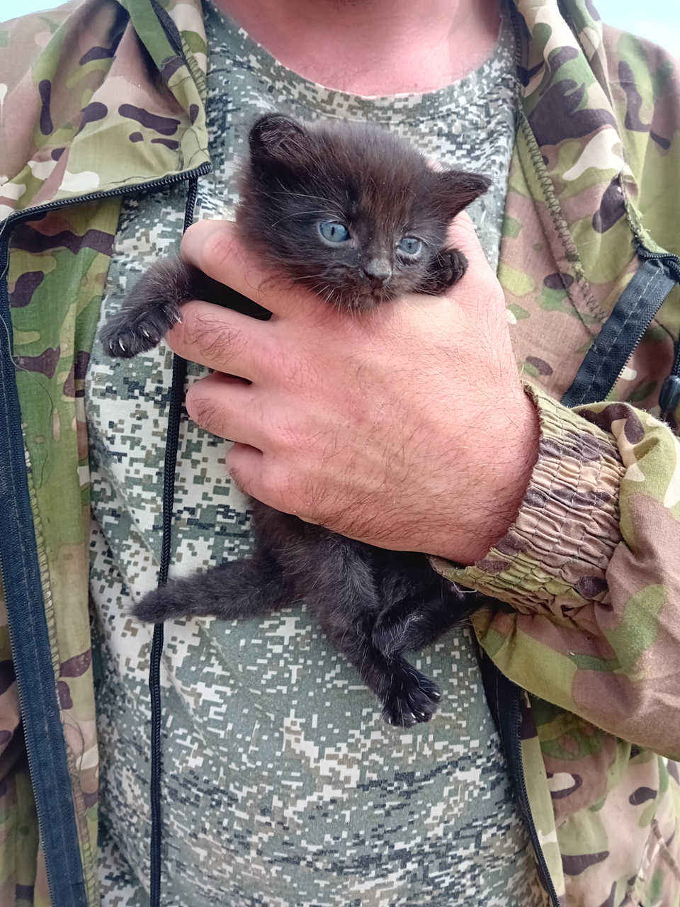 Достал кроху — Renault Logan Stepway