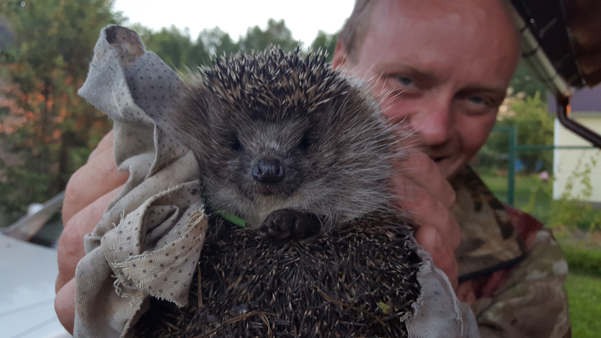 6. "Гирлянда" на приборной панели — неисправность системы стабилизации ...