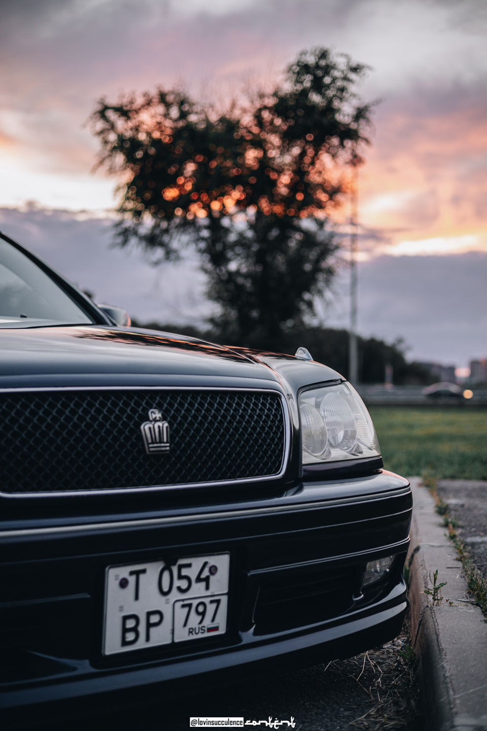 Шильдики Toyota Crown s120