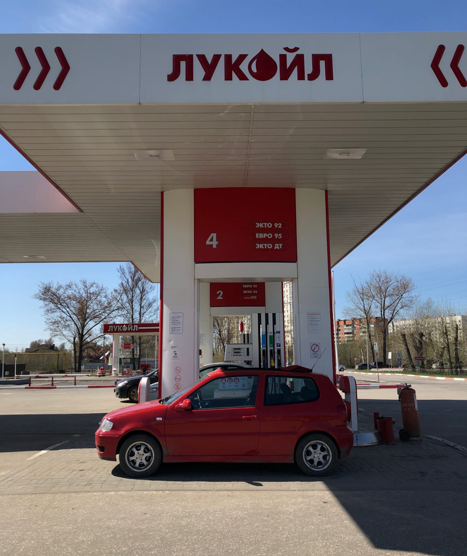 Покупка — Volkswagen Polo Mk3, 1,4 л, 2000 года | покупка машины | DRIVE2