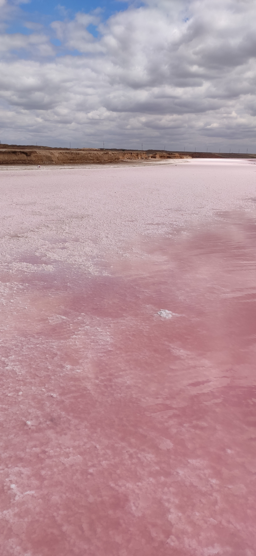 Розовое соленое озеро Кулунда