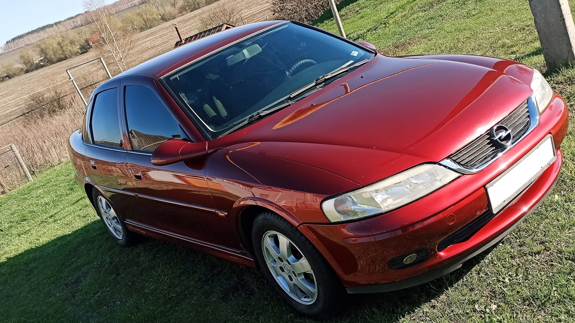 Opel Vectra B 1.8 бензиновый 2001 | «красный сатин» на DRIVE2