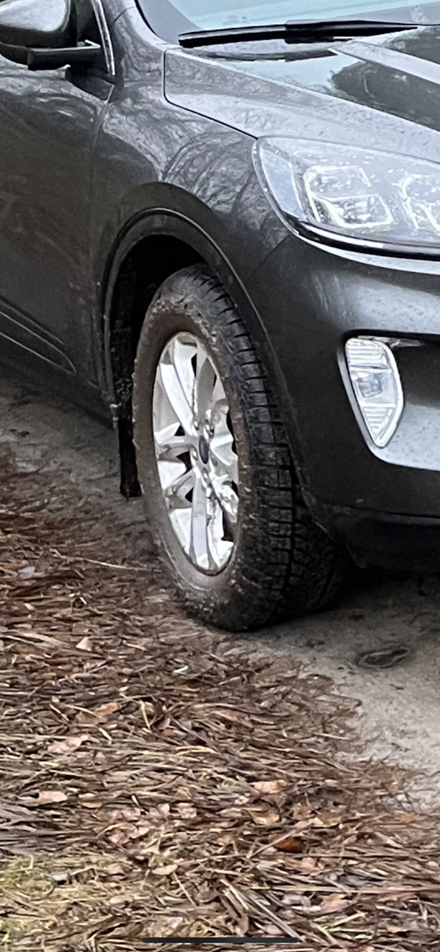 Первые 1к км на зимних Goodyear UltraGrip Performance+ SUV 225/65 R17 ...