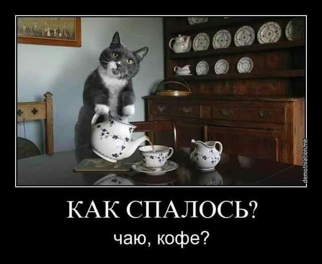 Доброе утро черный юмор