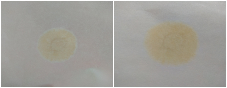 Масло залито на пробеге 84 711 км Капельная проба снята на пробеге 89 903 км Пробег на масле —5011 км — Ford Edge (1G)