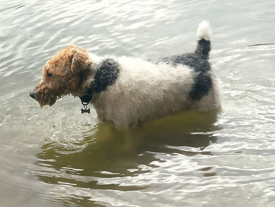 Фото в бортжурнале Mitsubishi Pajero (4G)