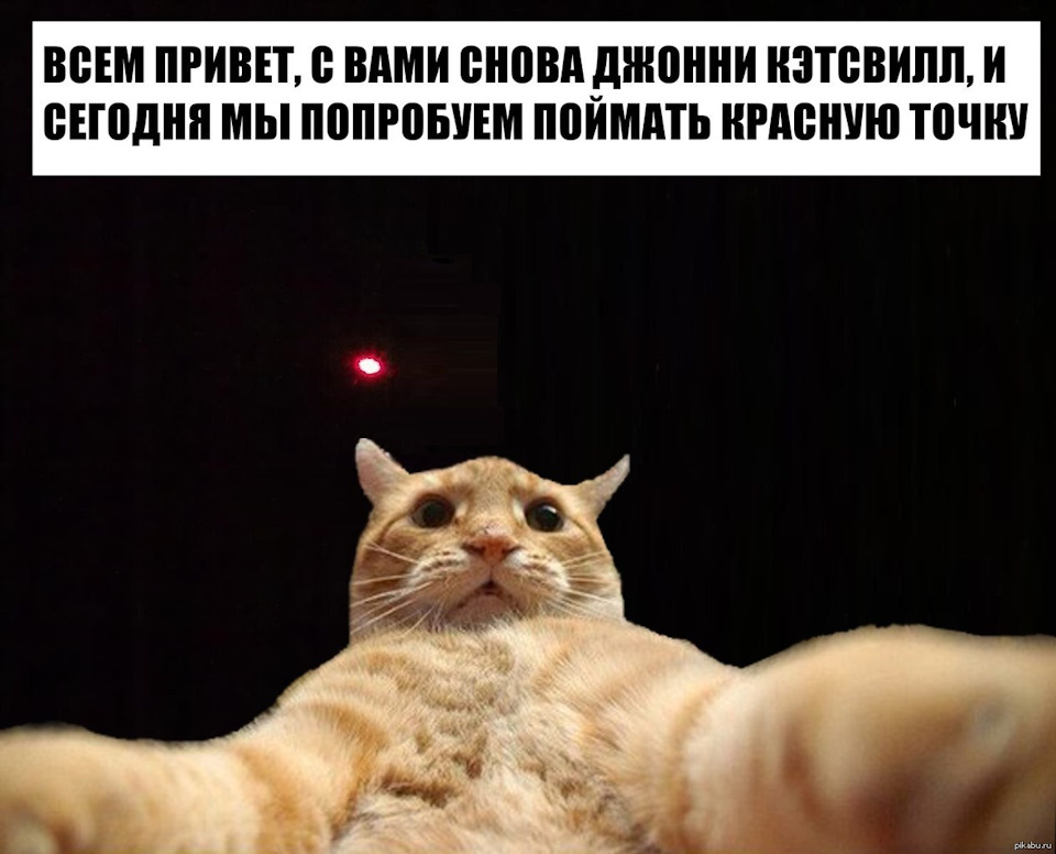 Мем мы попробуем за три дня