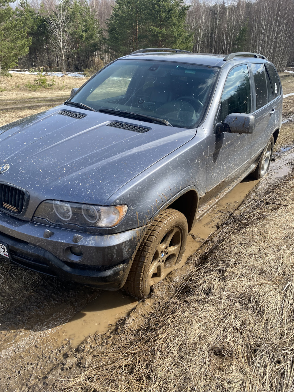 Разведка боем в деревню😄 — BMW X5 (E53), 3 л, 2002 года | покатушки |  DRIVE2