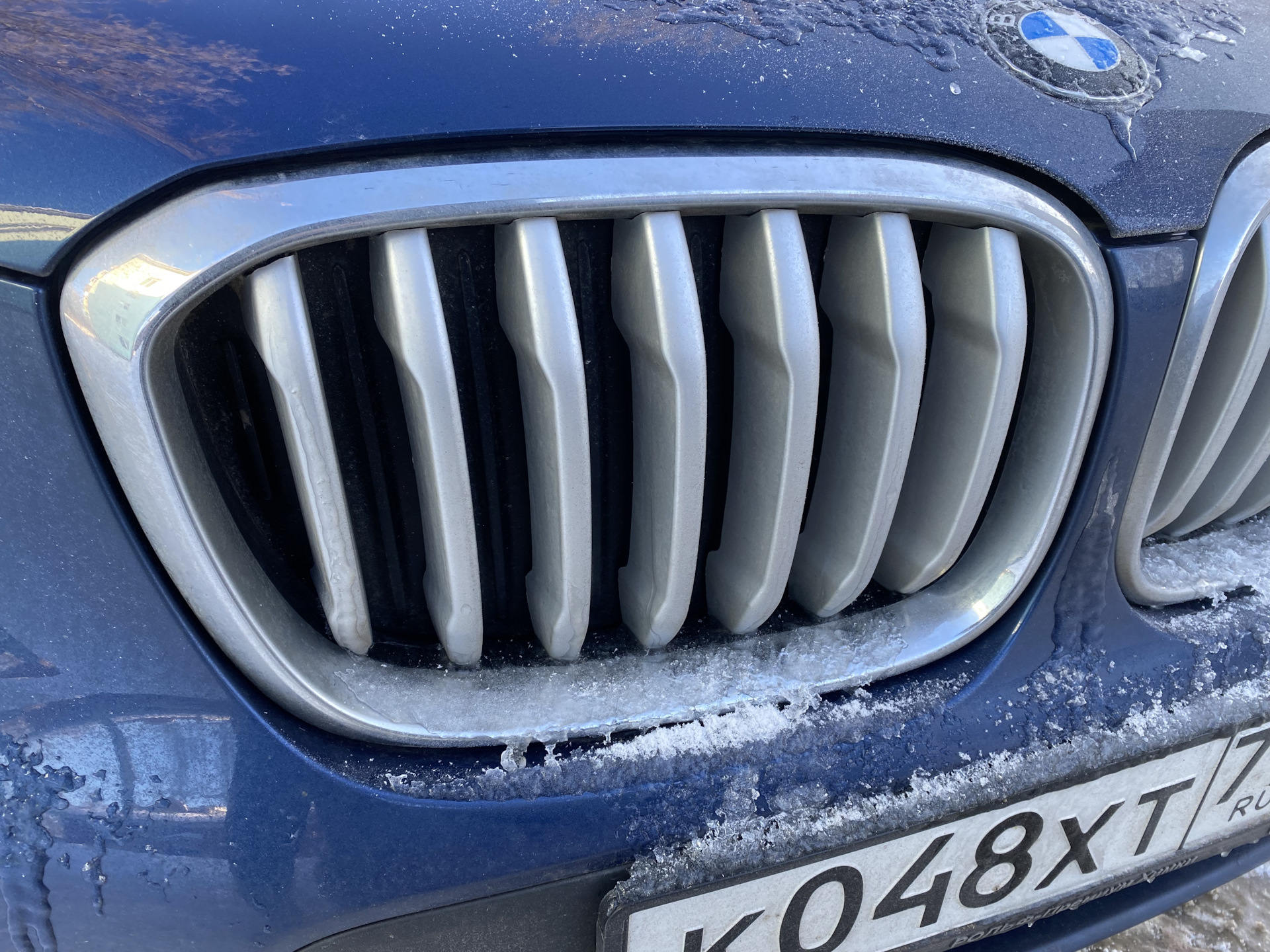 Вставки в решетку радиатора — BMW X3 (G01), 2 л, 2021 года | аксессуары ...
