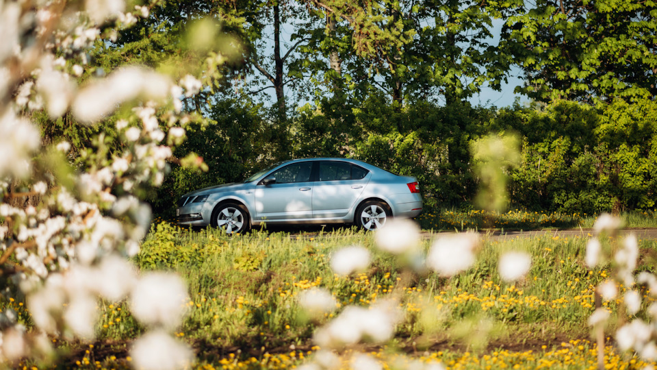 Потеет заднее стекло! Подскажите! — Skoda Octavia A7 Mk3, 1,4 л, 2019 ...