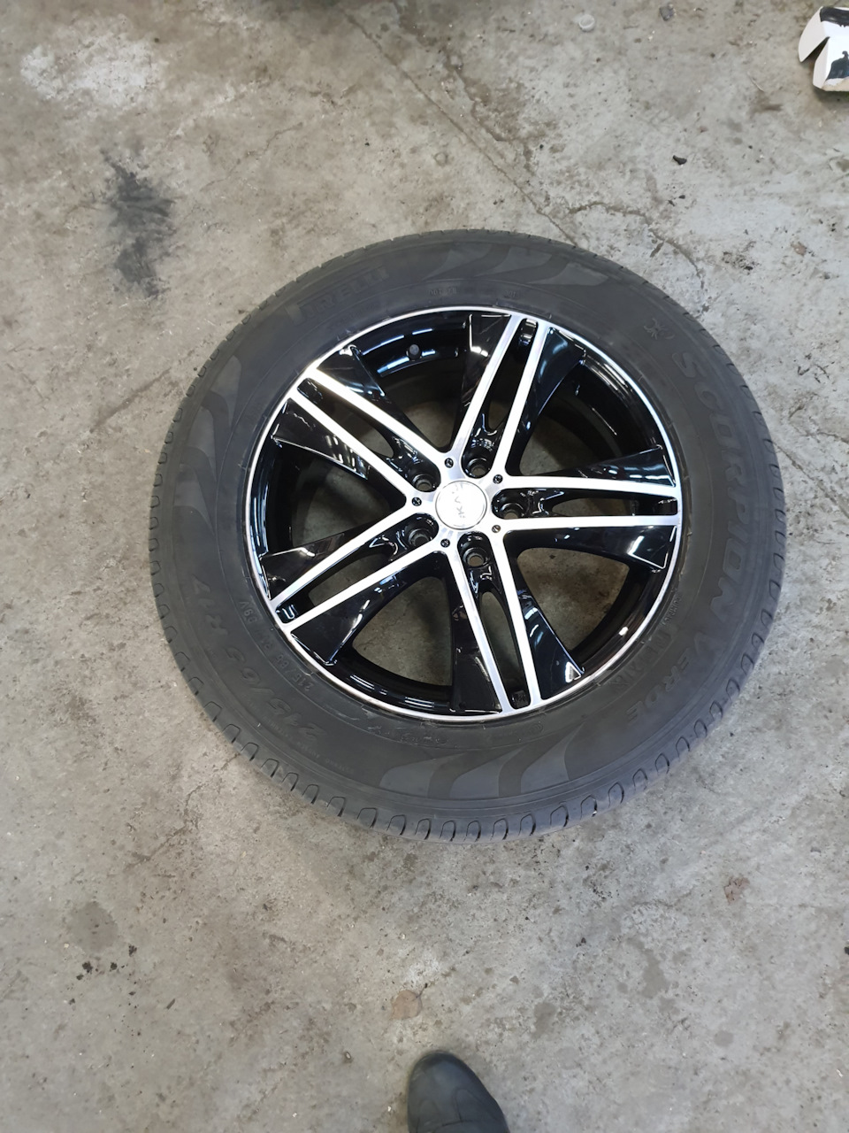 Диски на смену — Volkswagen Tiguan (2G), 1,4 л, 2019 года | колёсные ...