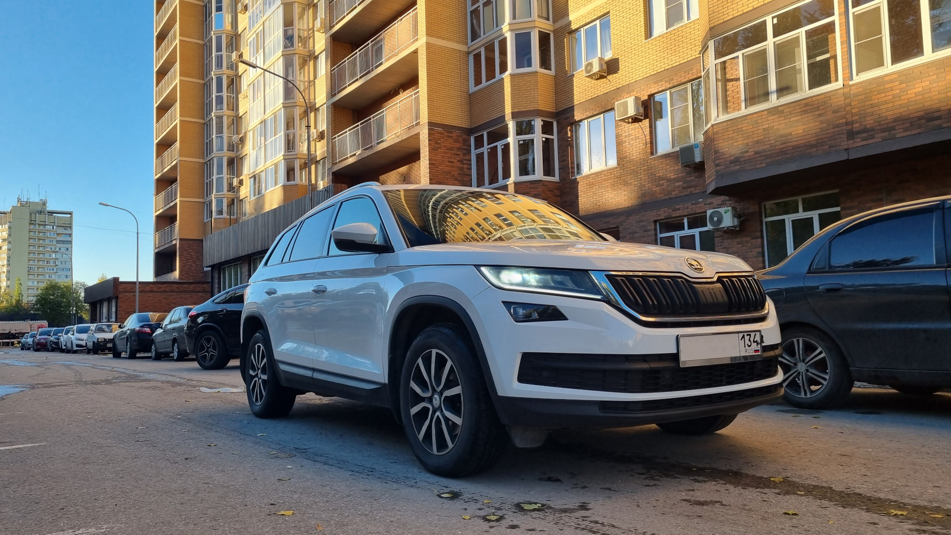 60. Потапыч едет в Краснодарский край, ч.1 Волгоград-Краснодар. — Skoda  Kodiaq, 1,4 л, 2021 года | путешествие | DRIVE2