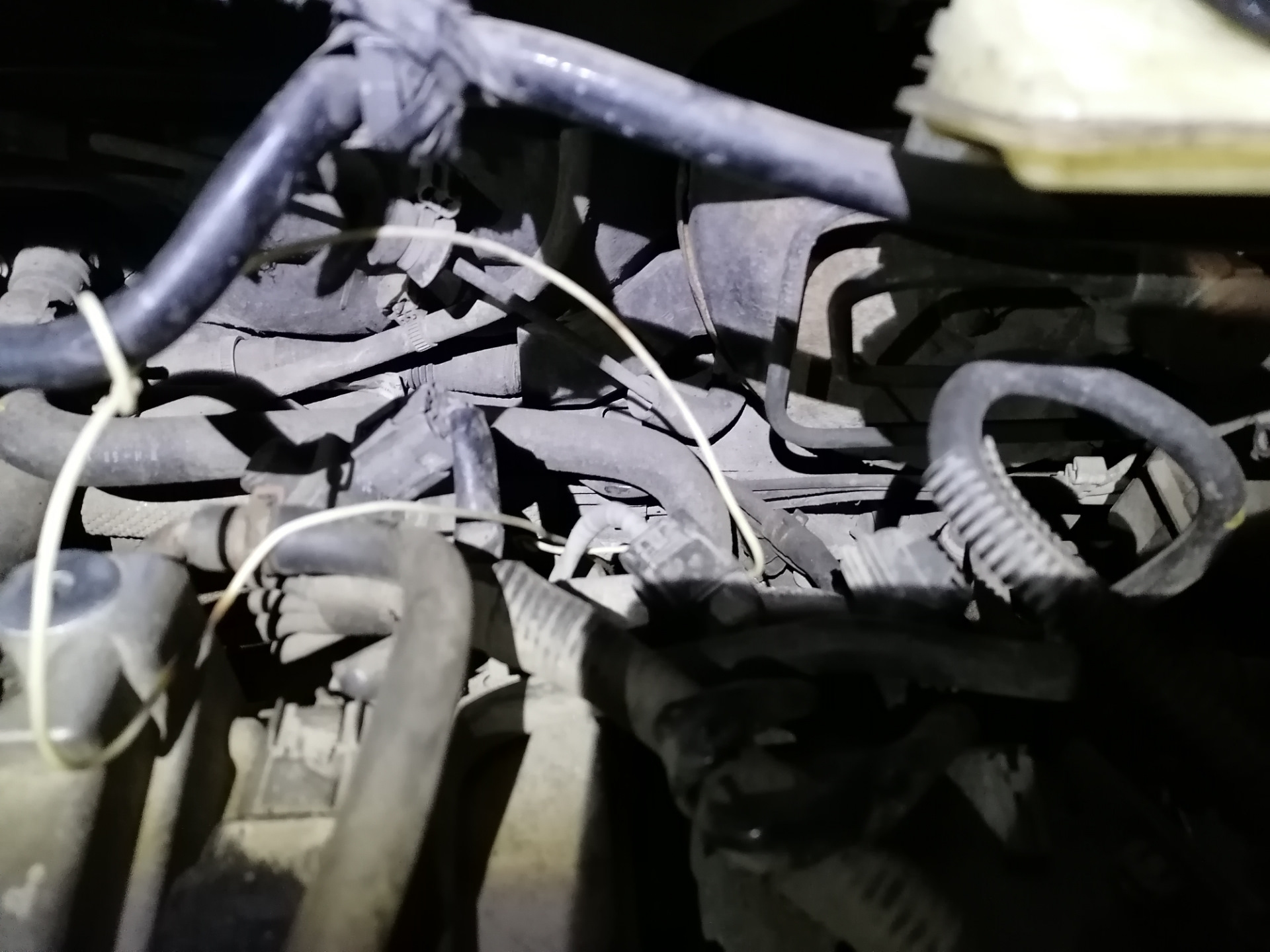 Замена 2 лямды, датчика детонации, чистка дросселя и промывка винсом. 👍 ...