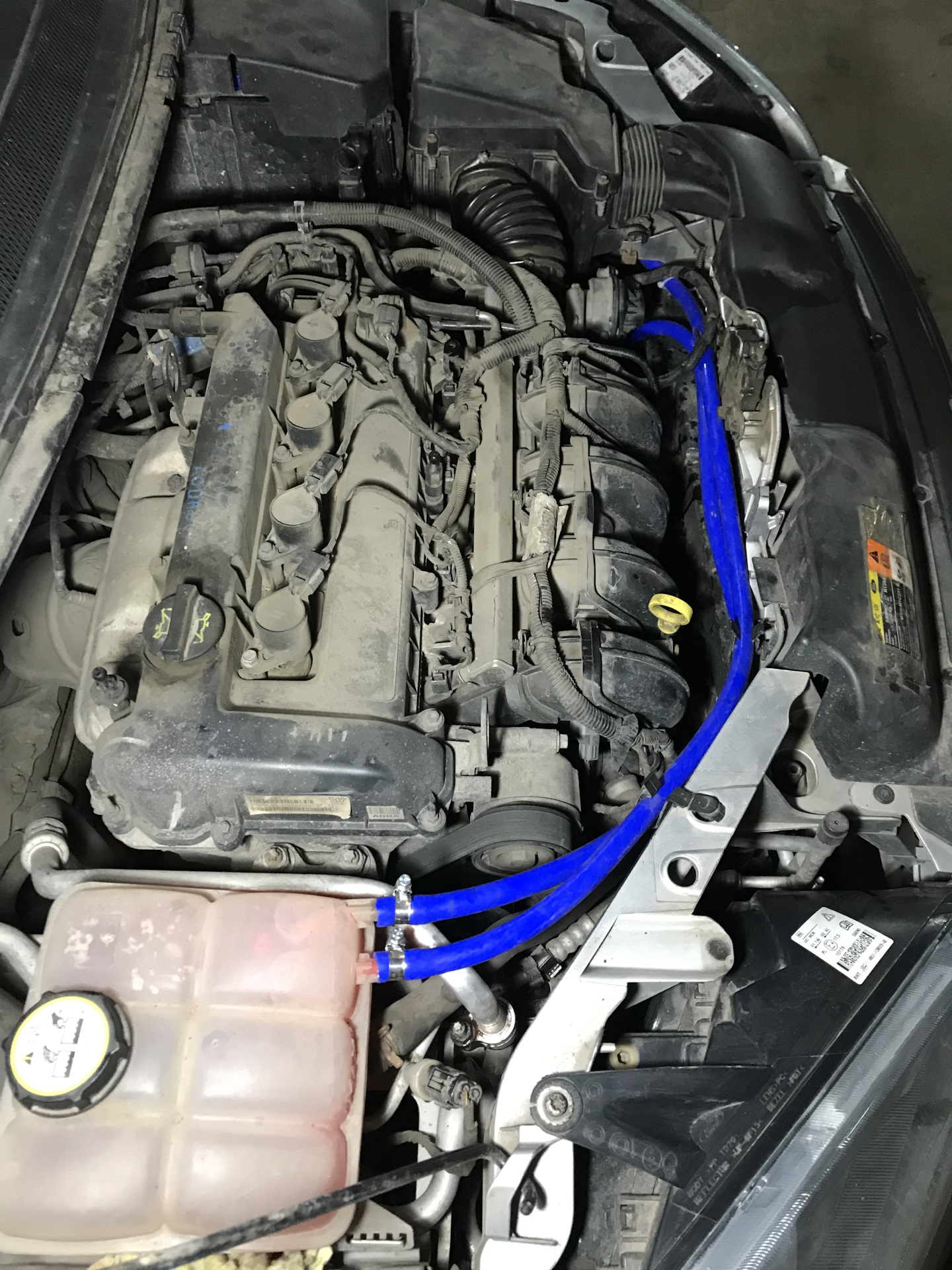 Замена шлангов охлаждения — Ford Focus Sedan II, 2 л, 2008 года ...